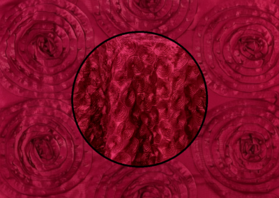 Fuschia Rosette
