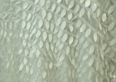 White Petal